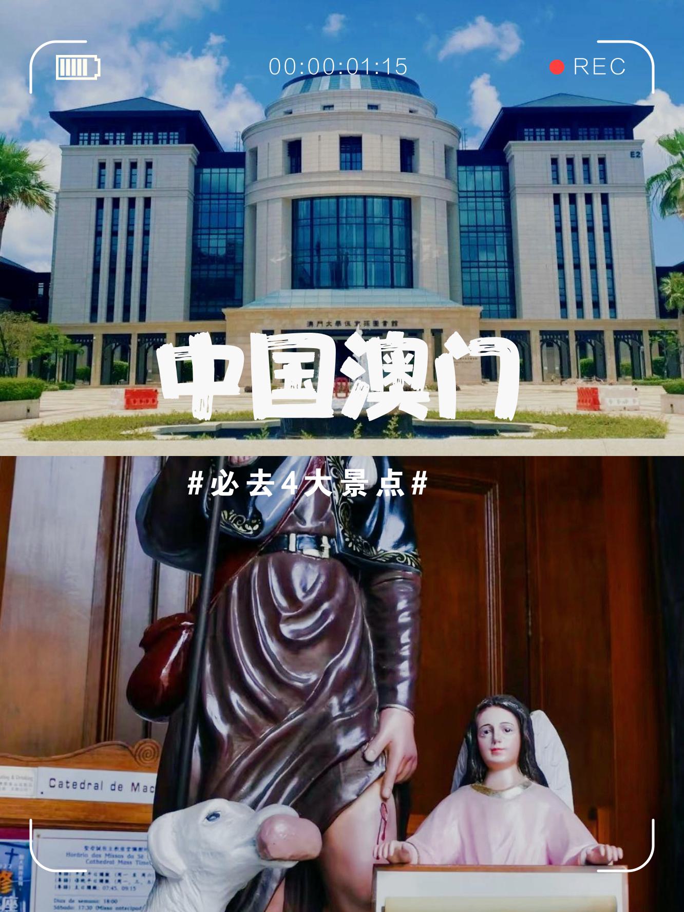 澳门好博VIP体验，探索无限可能-第2张图片