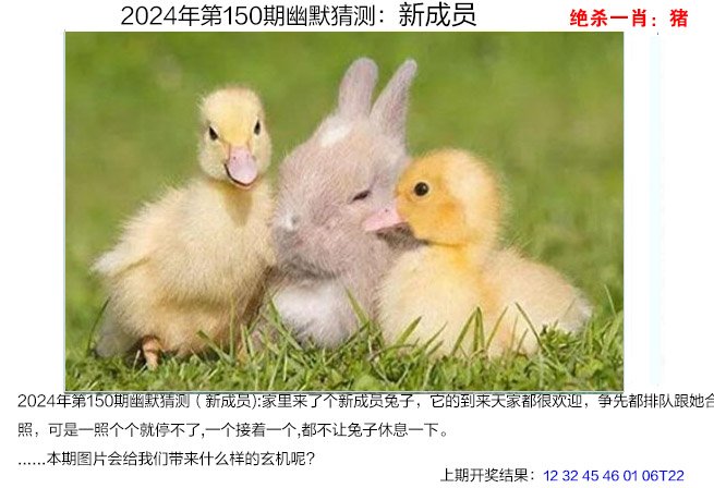 香港澳门彩开奖结果查询记录2024年香港澳门彩开奖结果查询记录-第3张图片