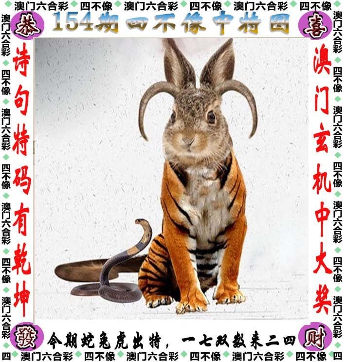 2025港彩开奖结果查询今天最新2024香港最新开奖结果查询-第2张图片