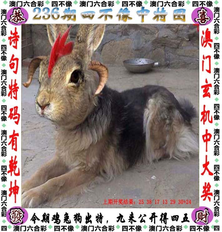 246天天好彩精选资料大全天下彩246天天好彩精选资料大全，天下彩的丰富资源