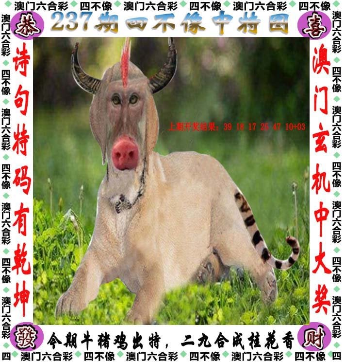 澳门一肖一码100%准确香港澳门肖码一码100%准确，香港之谜-第1张图片