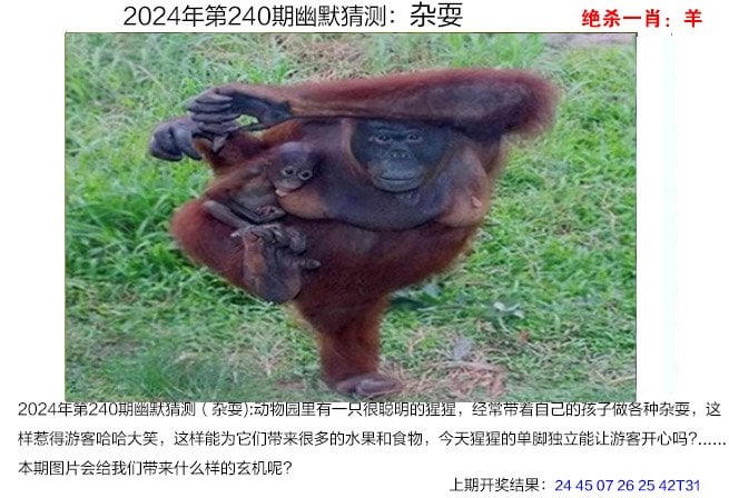 管家婆一码一肖资料免费大全-第2张图片