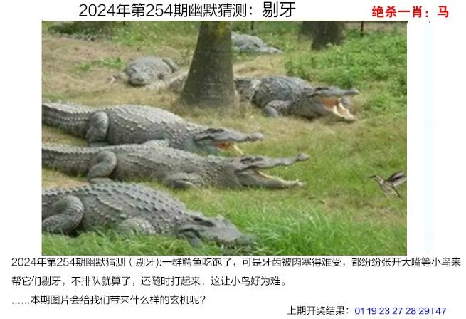 三肖中期期淮三肖中期期淮，预测与策略-第2张图片