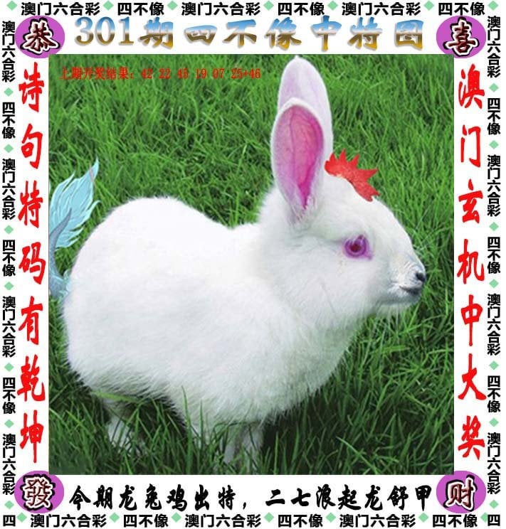 新澳门2024年宫家婆资料大全