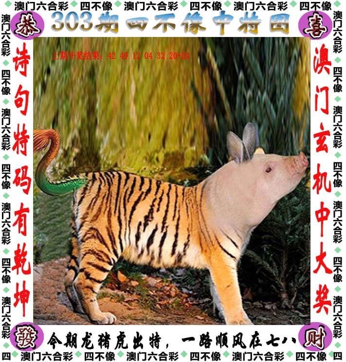澳门一码一肖一特一中直播澳门管家婆，一肖一码一开，开启智慧生活新篇章-第2张图片