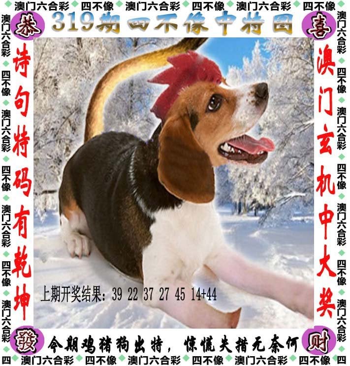 白小姐三肖三期开奖软件功能白小姐三肖三期开奖软件功能介绍