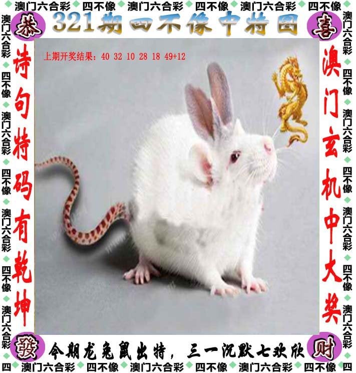 2020澳门开奖记录开奖现场2020澳门开奖记录，开奖现场揭秘
