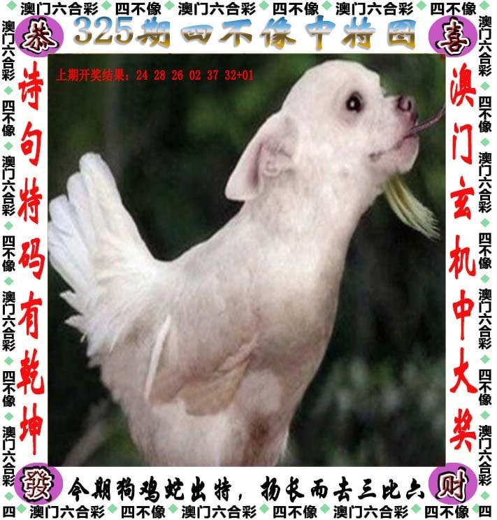 澳门精选一肖一码全年大全澳门一肖一码100精准-第2张图片