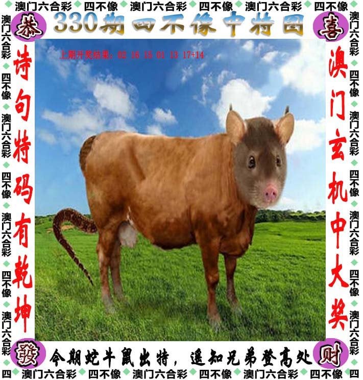澳门正版资料大全资料贫无担石澳门正版资料大全