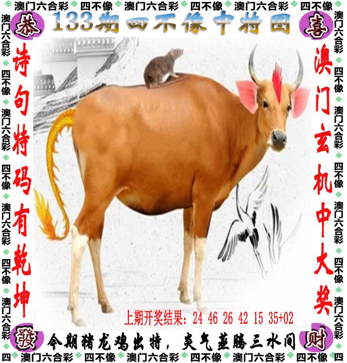 王中王一肖一码一特中，引领数字时代的独特力量