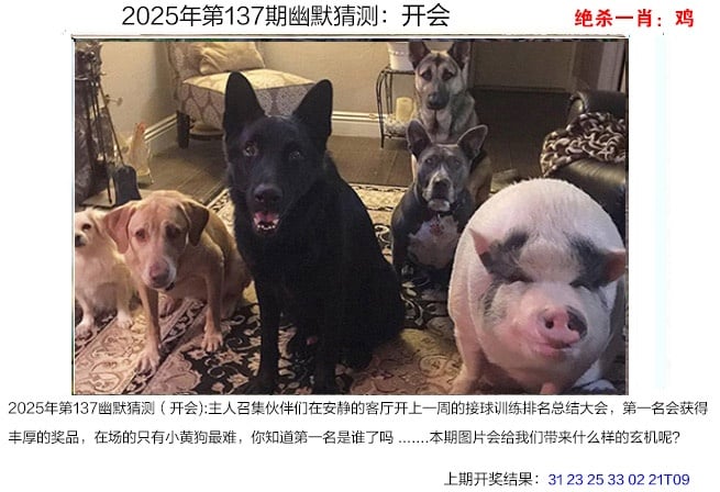 一肖一码100%中奖澳门黄大仙一肖一码100%中奖，探寻澳门黄大仙的神秘魅力-第2张图片