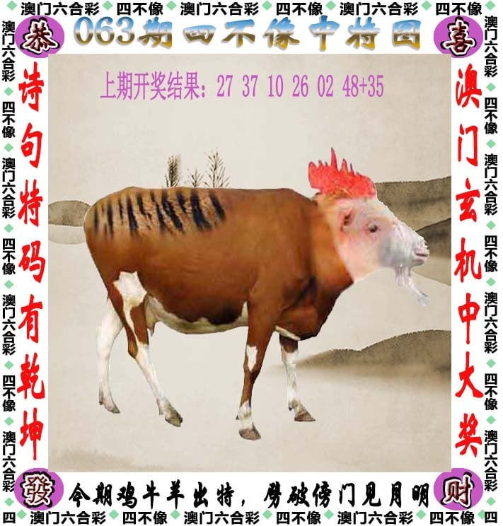 2025新奥今晚开奖直播今晚开奖直播，揭晓幸运时刻