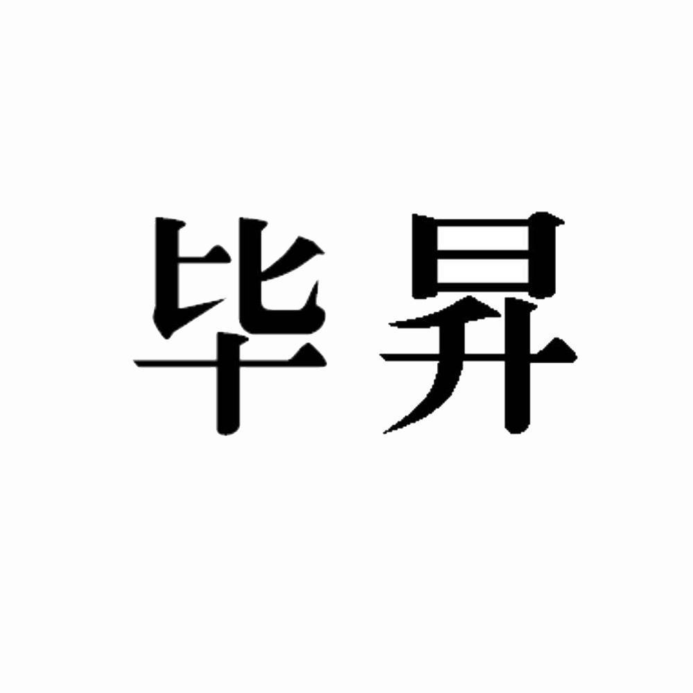 当代毕升当代毕升，创新与变革的引领者