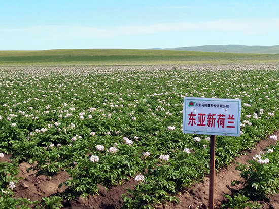 博猫游戏平台博猫游戏代理，游戏产业的全新机遇