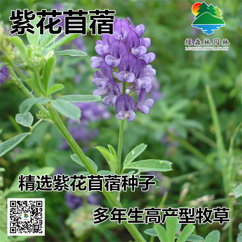 博猫游戏平台博猫游戏代理，游戏产业的全新机遇-第3张图片