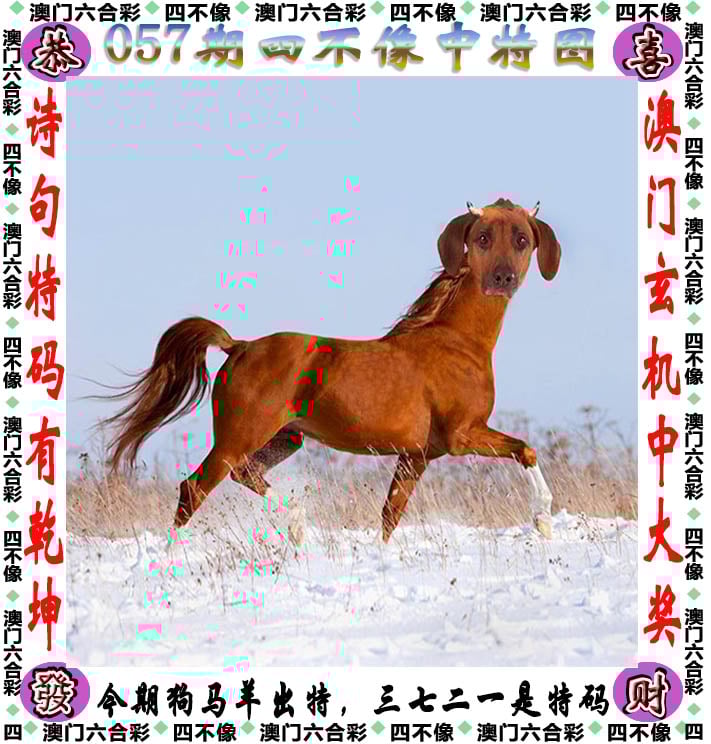 2021年今晚澳彩开奖结果揭晓