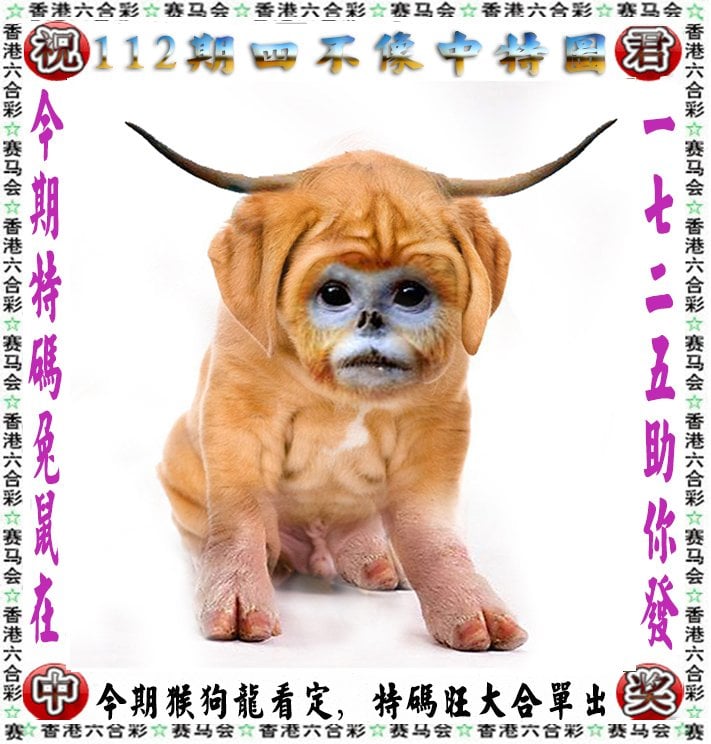 新澳门六会精准免费开奖，解锁幸运之门-第2张图片