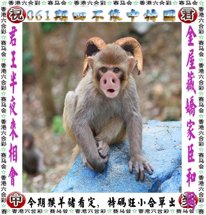 澳彩开奖结果最新版新澳彩开奖记录2023年最新结果-第3张图片