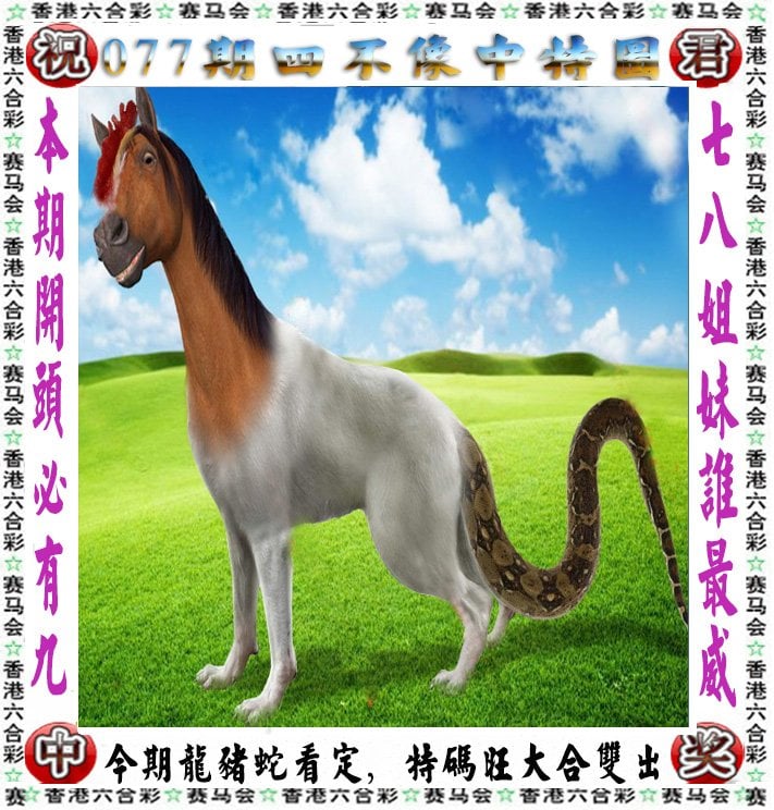跑狗网，引领宠物健康与训练的新潮流