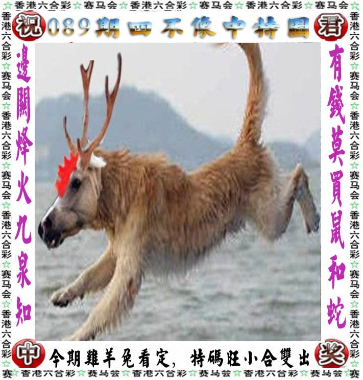 2023年一码一肖，预测与保证的准确率
