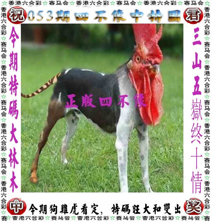 本港台六现场开奖结果揭晓