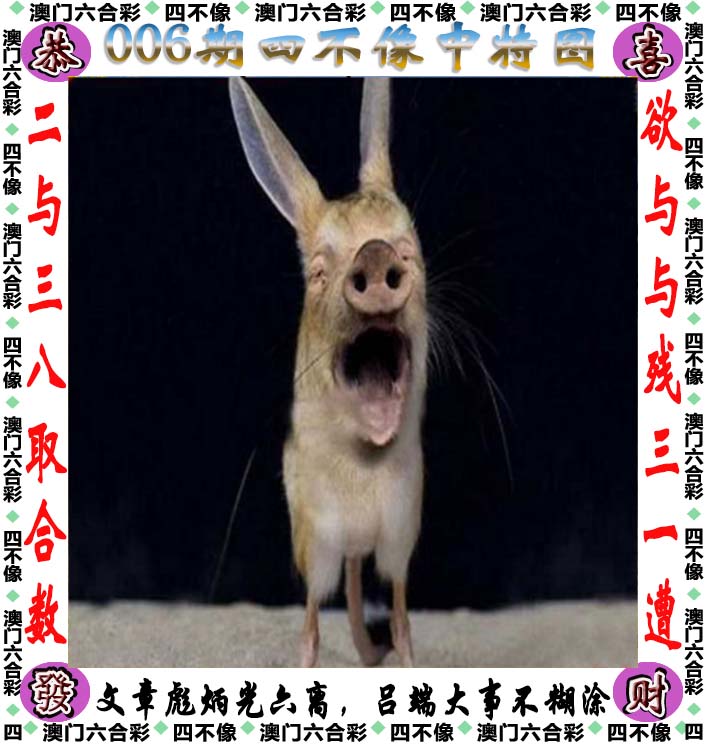 246天天好彩精选资料-第2张图片