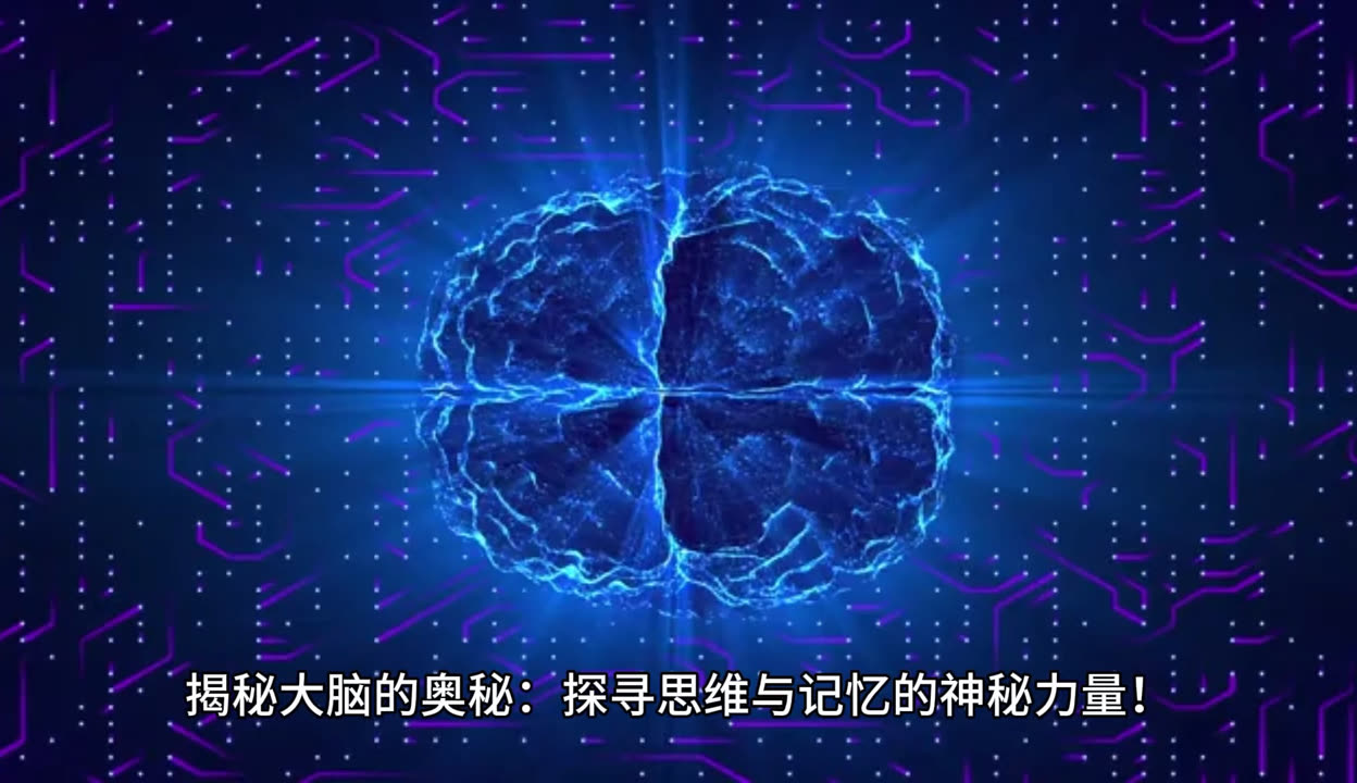 测号码，探寻神秘号码的奥秘-第3张图片