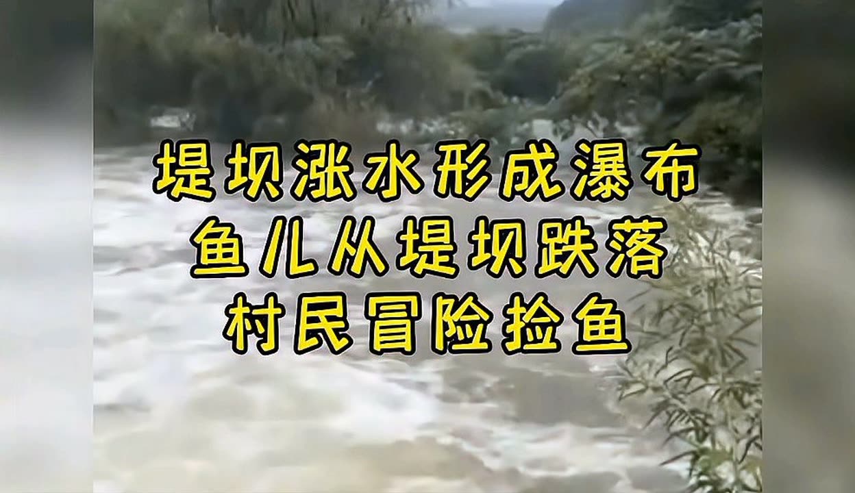 黄色视频泛滥成灾-第2张图片