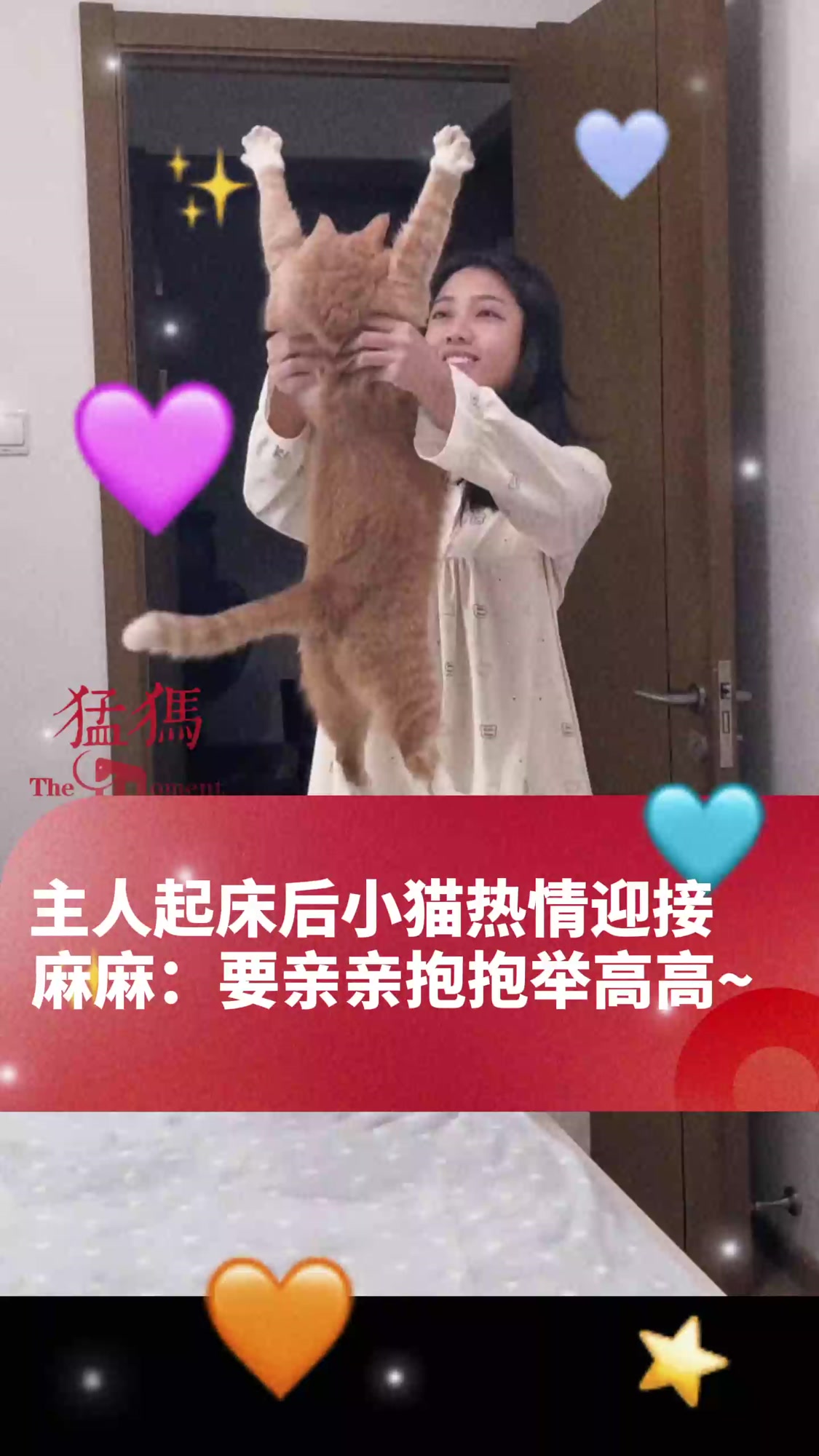 亲亲抱抱举高高蹭蹭的视频原声-第2张图片
