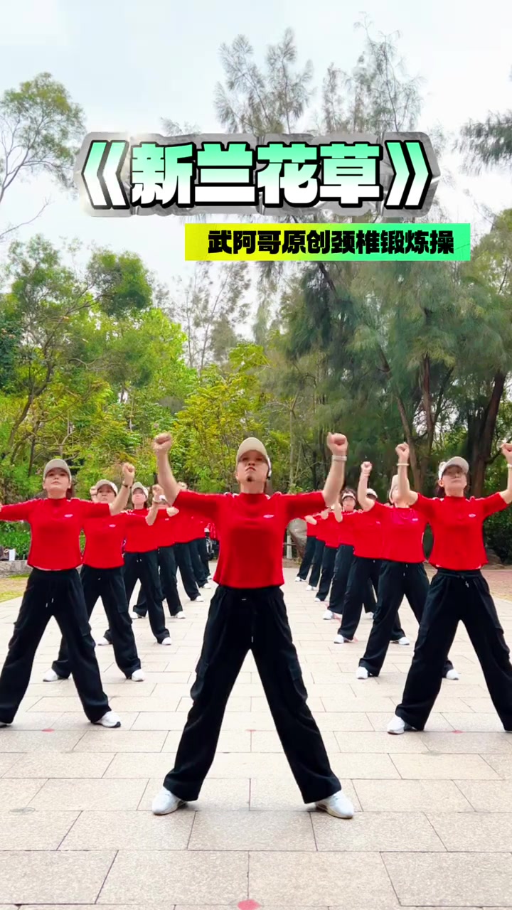 久草操久草操，一种独特的健身方式-第2张图片