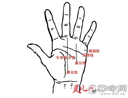 手相没有事业线手相没有事业线解析-第1张图片