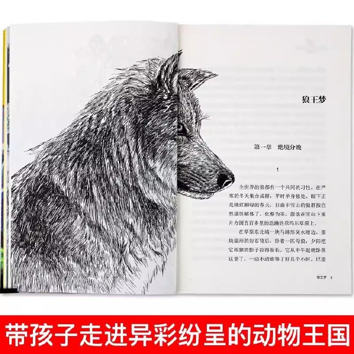 狼王梦在线阅读-第2张图片