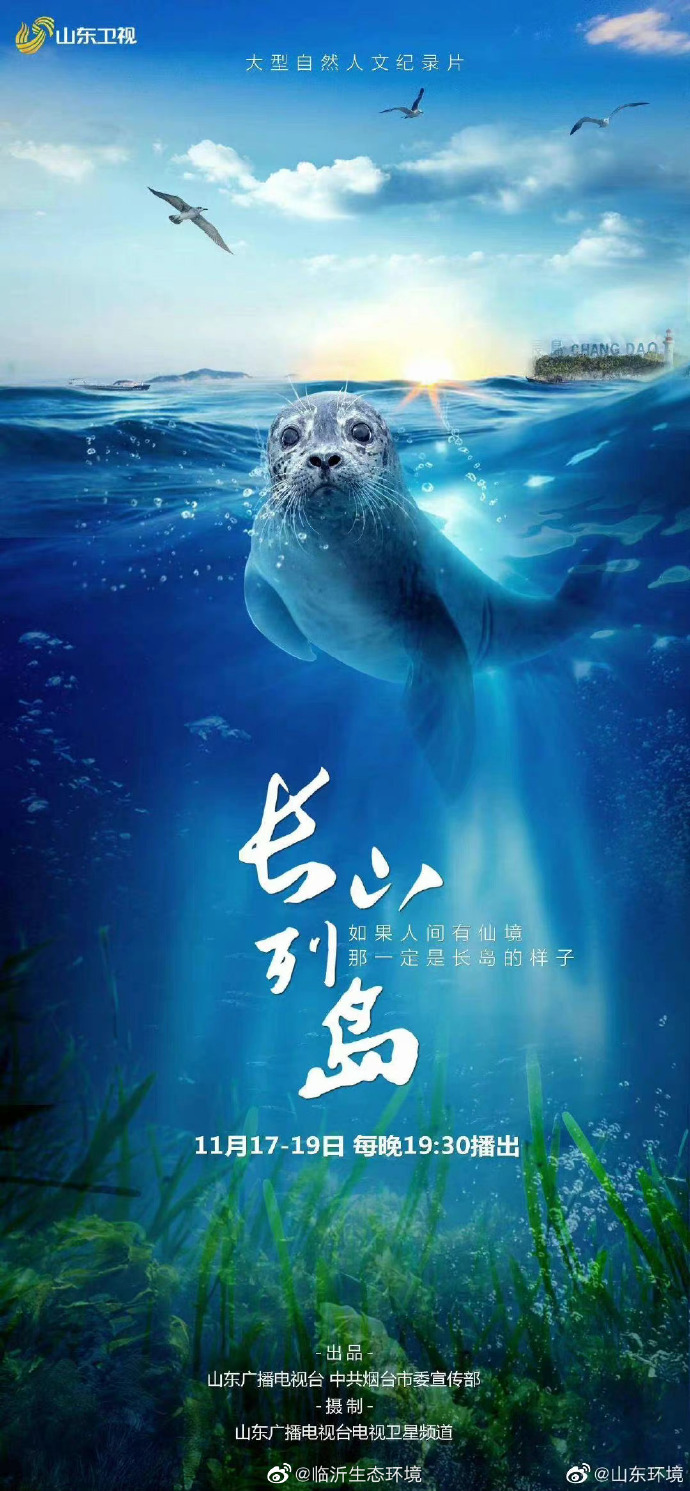 欧美视频热潮中的人与牛交，探索人与自然和谐共生的新篇章-第1张图片