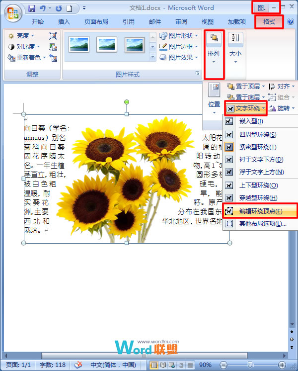 向日葵APP下载网址进入18免费站长统计IOS向日葵APP下载网址及免费站长统计IOS应用介绍