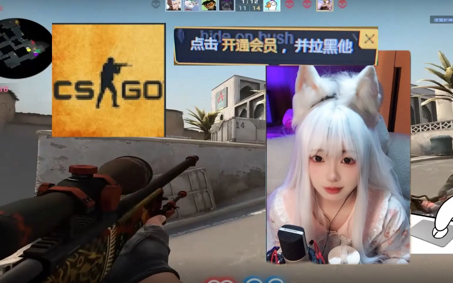 暴躁少女CSGO高清观看