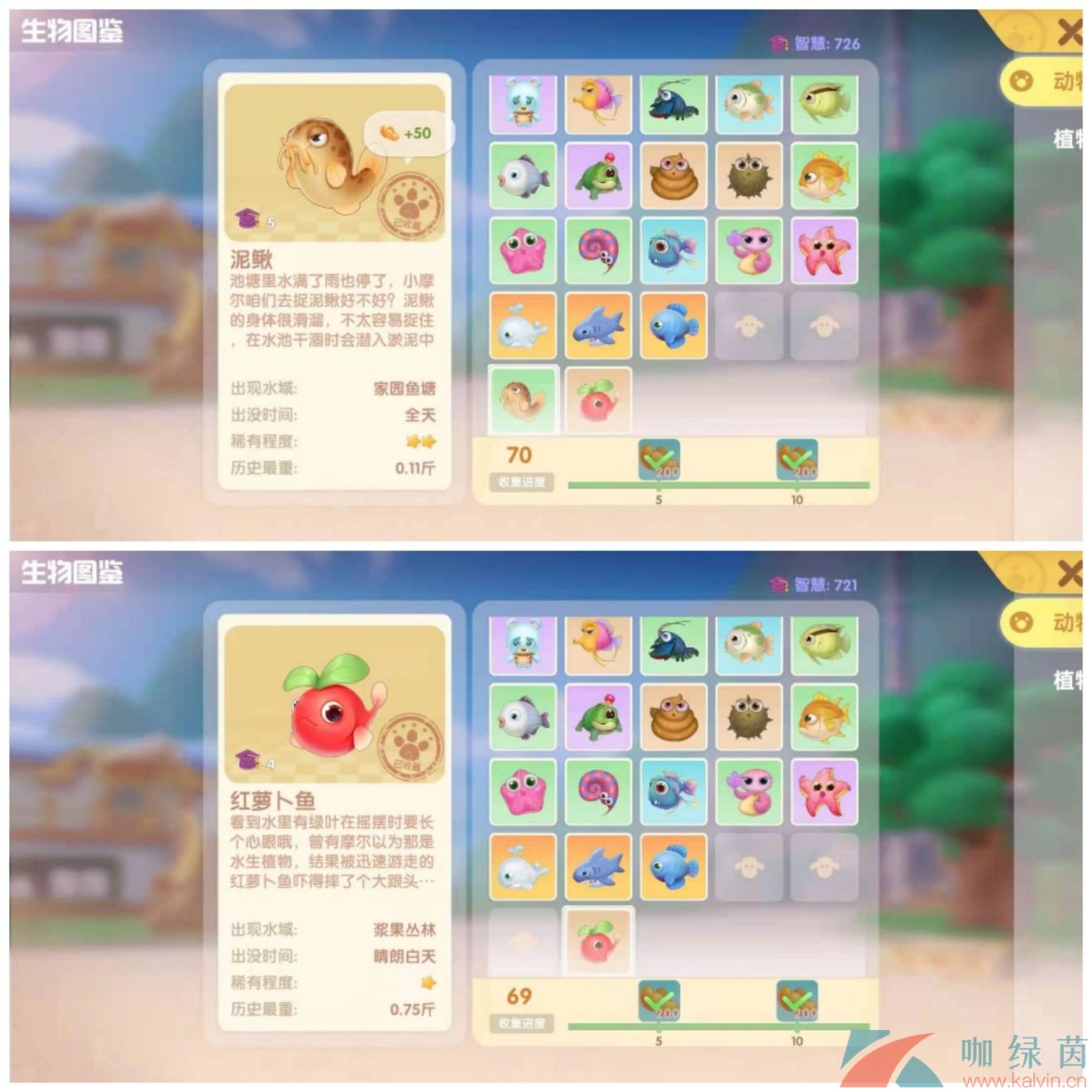 摩尔庄园夏日收集-第3张图片