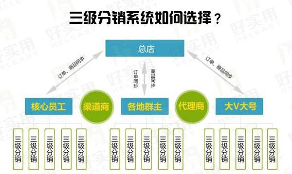 美国三级美国三级制度概述-第2张图片