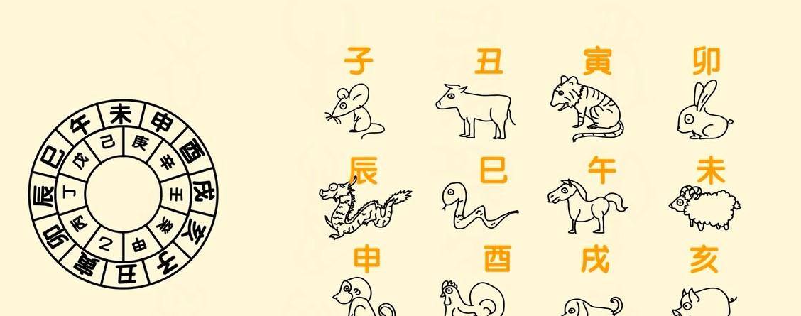 2013生肖对照表图2013年生肖对照表-第1张图片