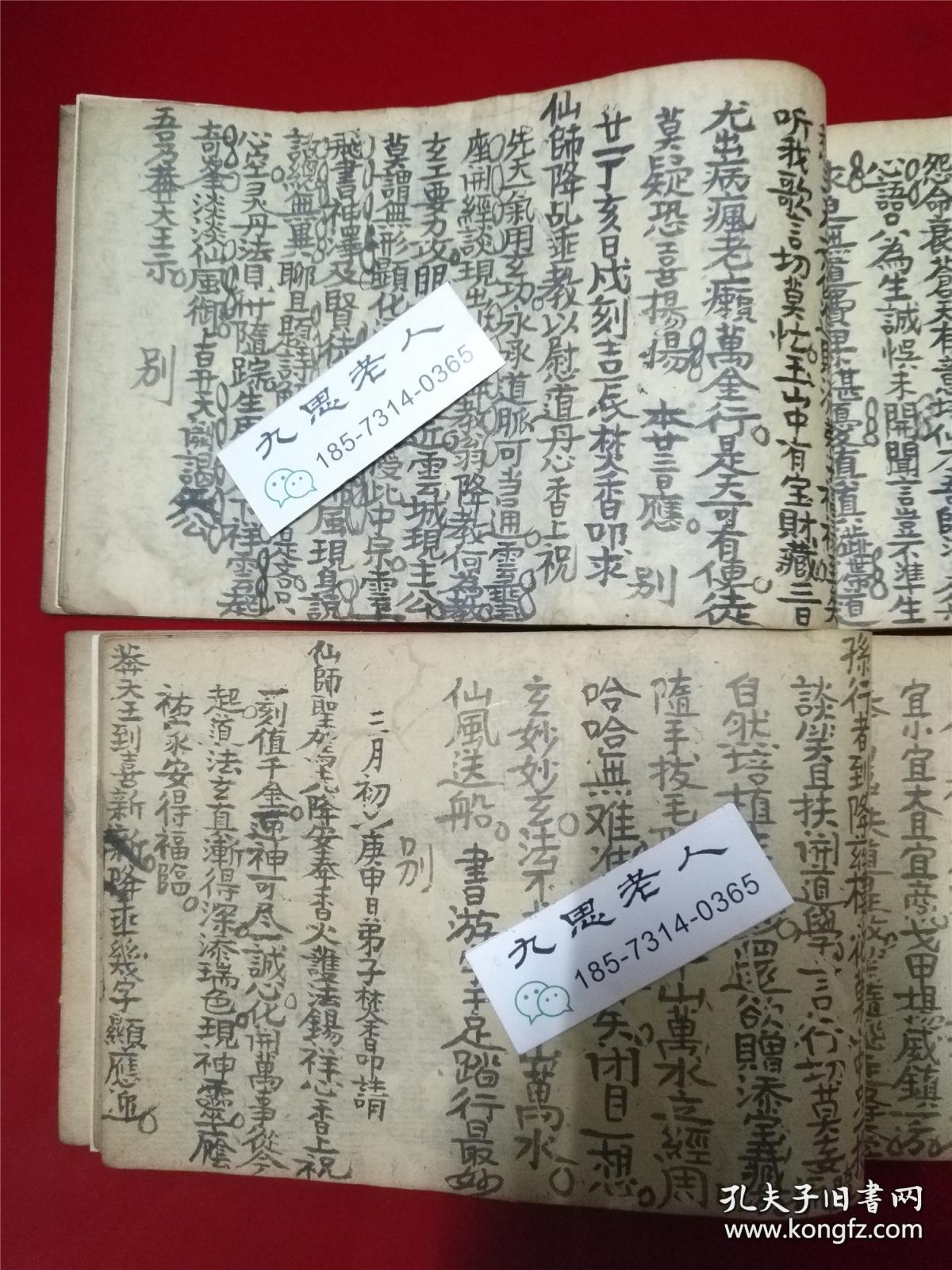 小鱼儿玄机2站小鱼儿玄机2站，神秘之旅的探索