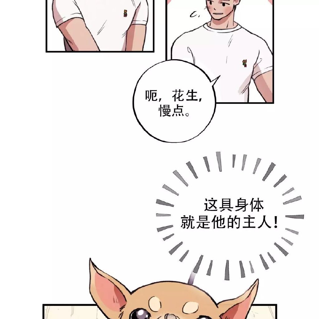 哈尼熊的奇妙世界-第3张图片