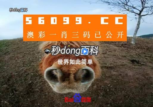 澳门一肖一码必中一肖今晚MBA