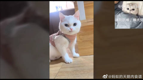 一二三四6免费高清观看视频关键词，一二三四6免费高清观看视频