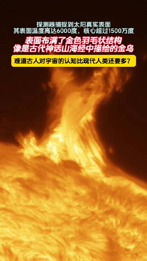 百性阁手机首页，探索科技新世界