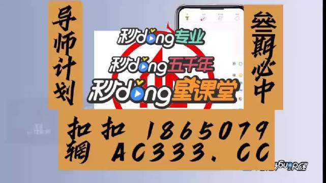 管家婆六肖中特网，神秘与实用的数字世界