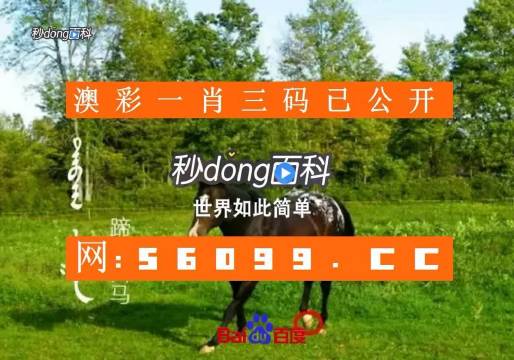 红姐图库118开奖结果免费下载红姐图库——探寻丰富的视觉资源-第3张图片