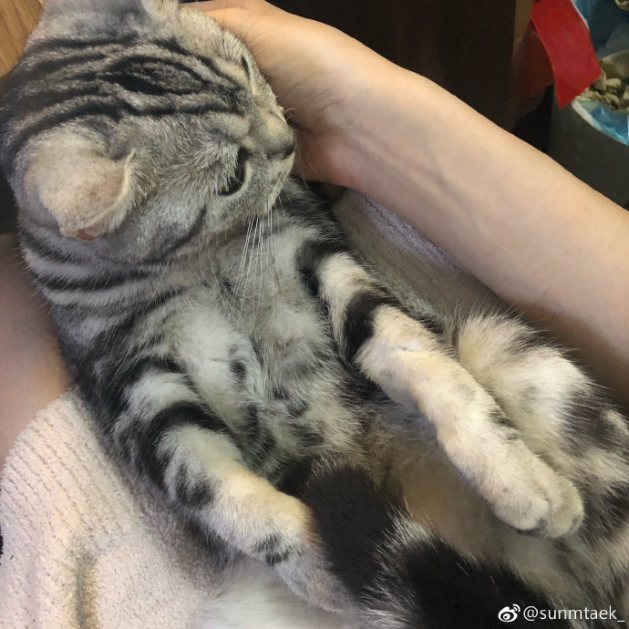 宝贝把腿抬高一点就不疼了怎么回事宝贝宝贝，你的小妙招