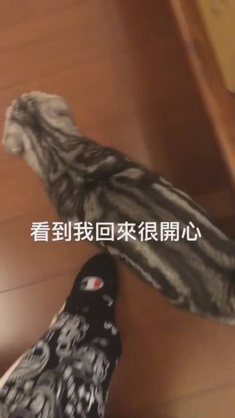 嗯嗯撸跳转，探索便捷与高效的体验