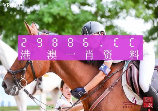 一码一肖100准打开码结果一码一肖100准，开启码结果揭秘