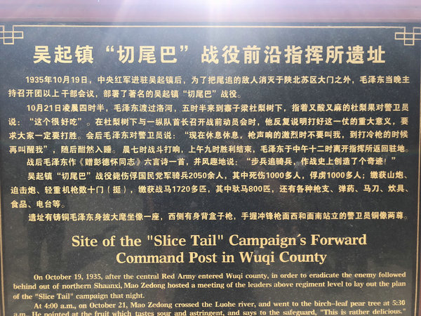 白凤翔白凤翔，风华绝代的艺术大师-第1张图片