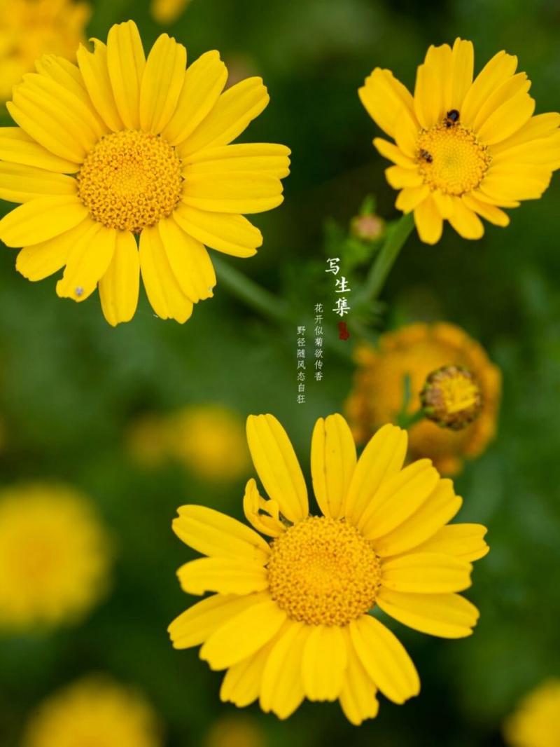 婷婷五月花_婷婷五月花_婷婷五月花